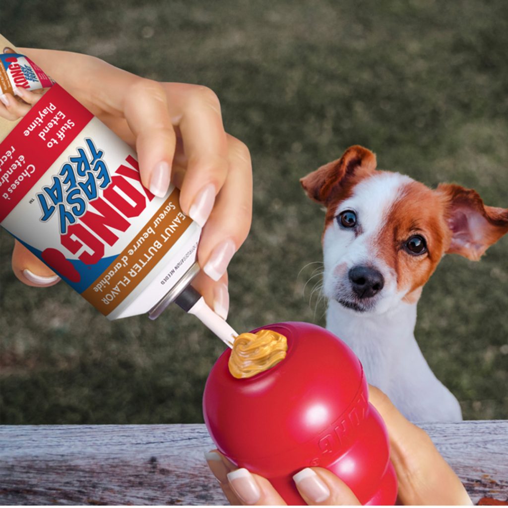 Kong Pet Peanut Butter Easy Treat - Image 2
